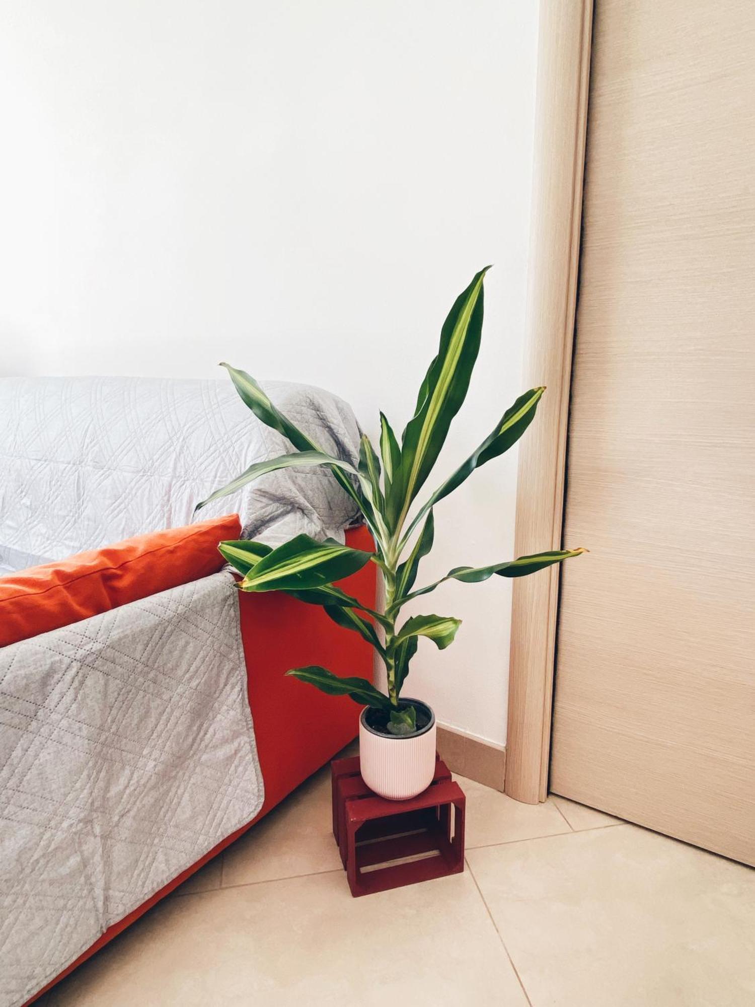 Apartment In Siena With Private Parking 외부 사진
